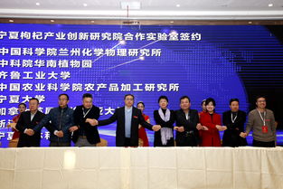 寧夏中寧枸杞產(chǎn)業(yè)創(chuàng)新研究院項目發(fā)布簽約暨學術交流會成功舉辦，工商事務代理助力產(chǎn)業(yè)發(fā)展